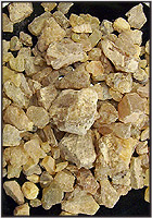 Gum Mastic Granules